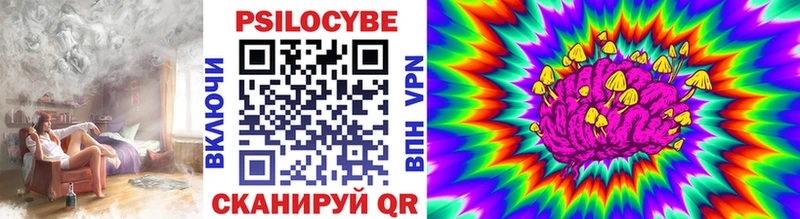 дарнет шоп Шумерля Галлюциногенные грибы ЛСД