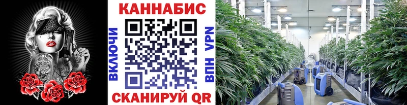 закладки  Шумерля  Шишки марихуана гибрид 